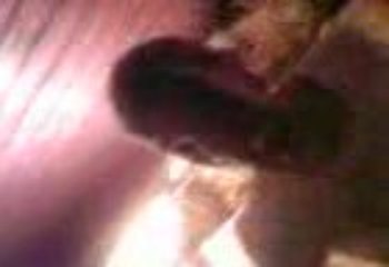 alice(spess dee' coonnee'=) )