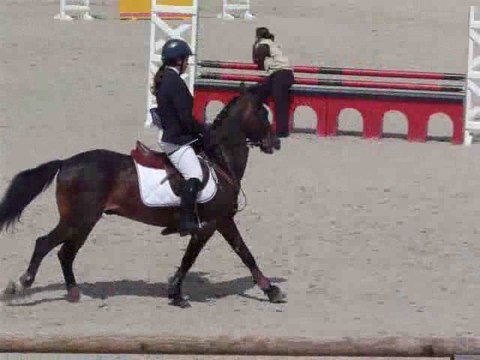 Alice et Galop III, CSO Lamotte Beuvron