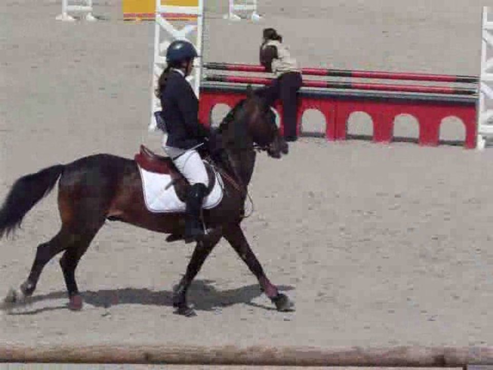 Alice et Galop III, CSO Lamotte Beuvron