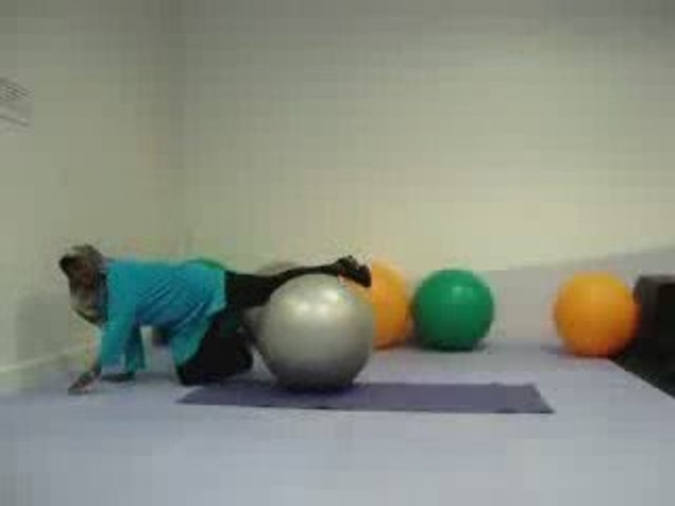 Exercise Ball Push Ups Workout