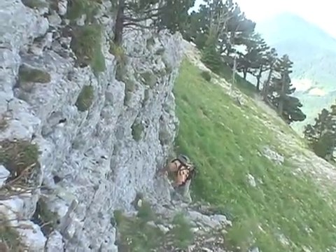 Chamechaude 2082 m - Par les crêtes SSE - Chartreuse