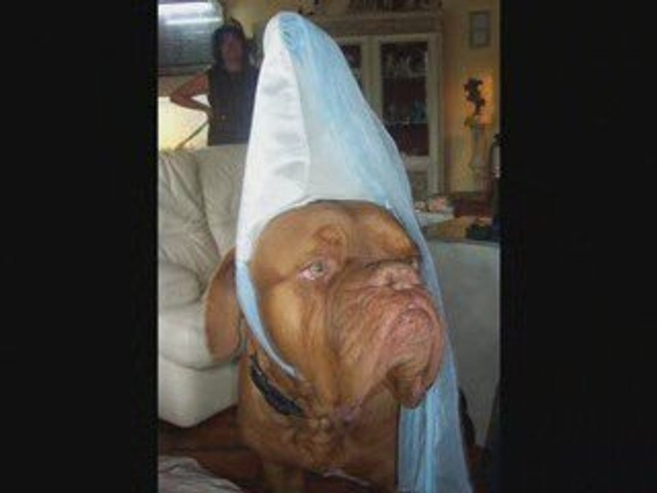 Vidéo pour Sab. -lara-