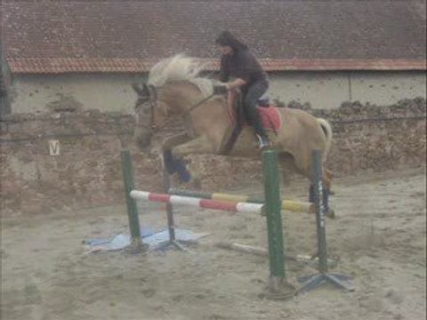 Seance Dressage et Saut