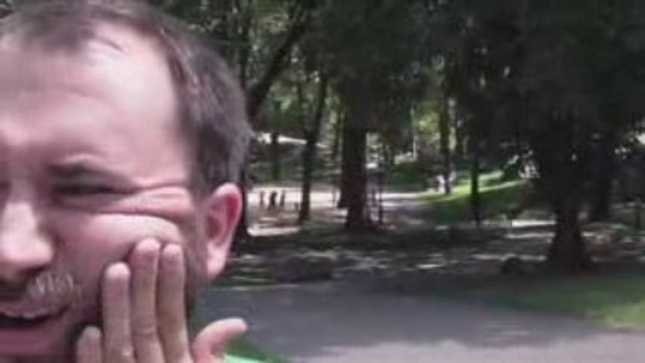 Central Park Slap