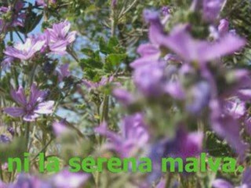 Entierro en mayo