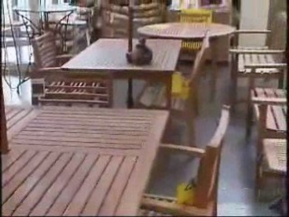 Huck Finn's Warehouse Albany NY Huck Seasonal May '09 video Dailymotion