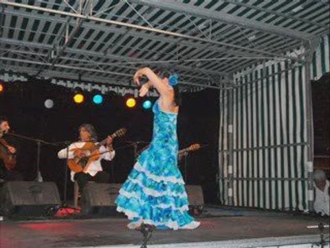 Concert Ricao Pamiers (13/07/09)