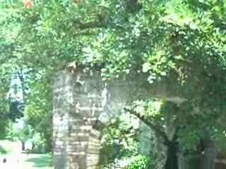 Visita al giardino di Ninfa