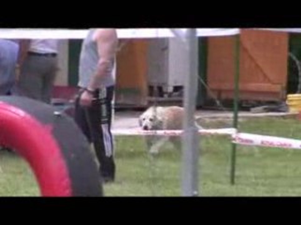 Salsa Degré Agility Jeurre 12/07/2009