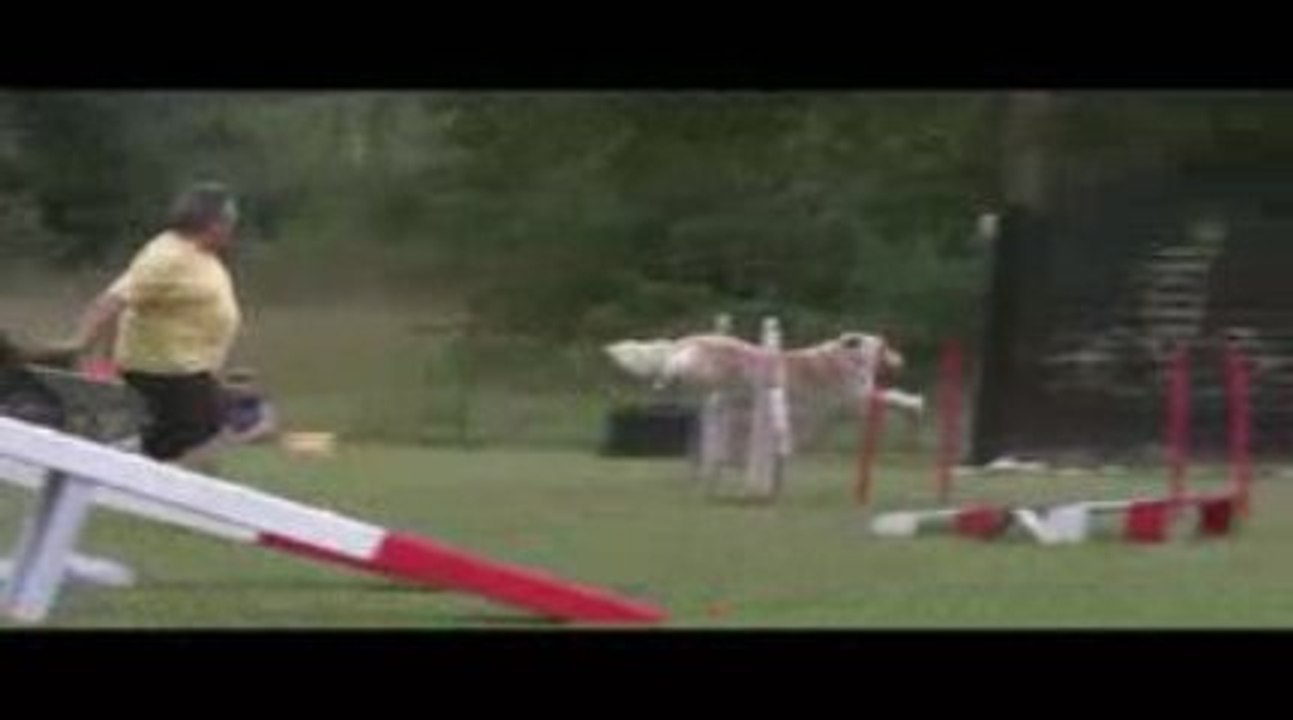 Salsa GPF Agility Jeurre 12/07/2009