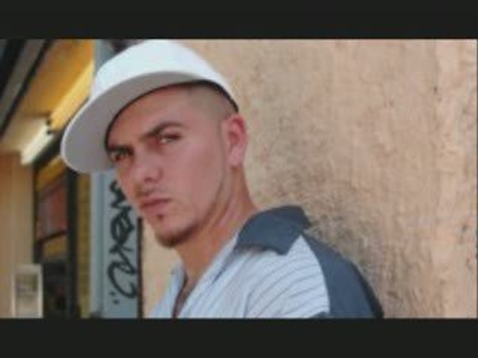 ( new2009) pitbull shake your booty