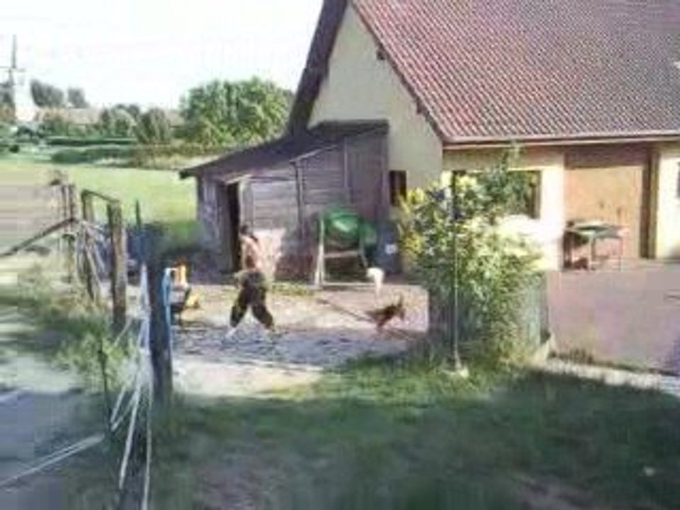 daya au saut