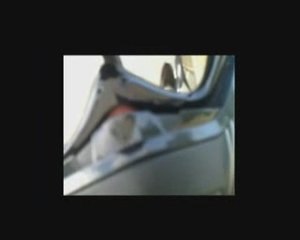 yam 600 xte supermot