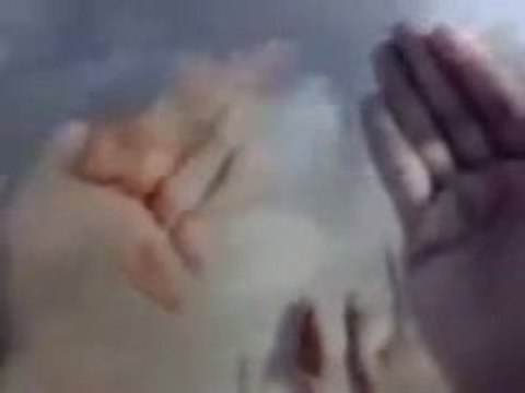 LA ILLAHA ILALLAH MOUHAMMAD RASSOULOULLAH