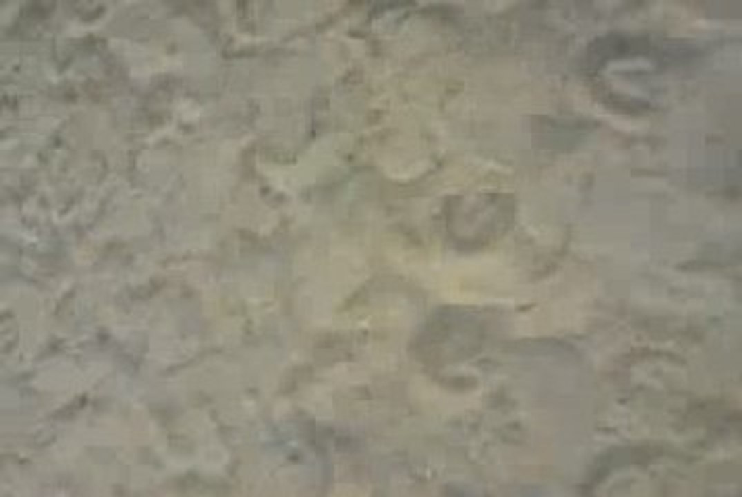 020