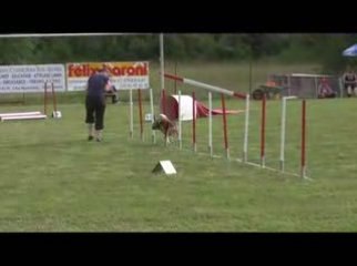 Astro Jumping Agility Jeurre 12/07/2009