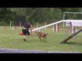 Sindbad GPF Agility Jeurre 12/07/2009