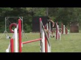 Sindbad Jumping Agility Jeurre 12/07/2009