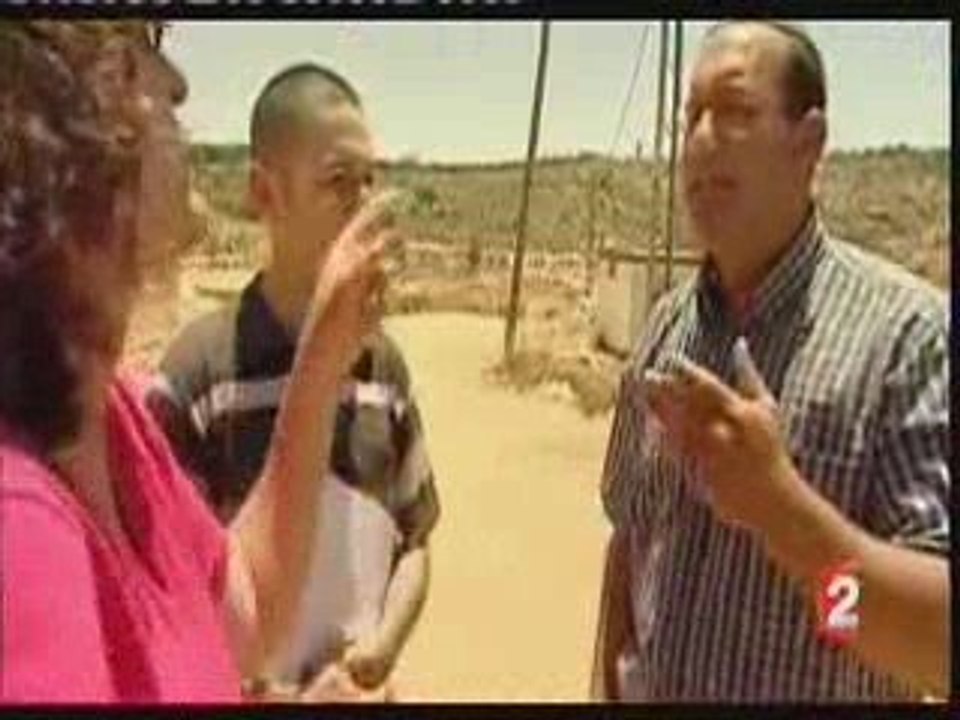 Les jolies colonies de palisrael