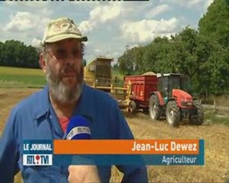 Agriculture les moissons ont commencé