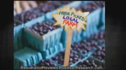 Top Resveratrol Product Reviews