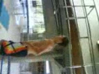 saut plongeoir