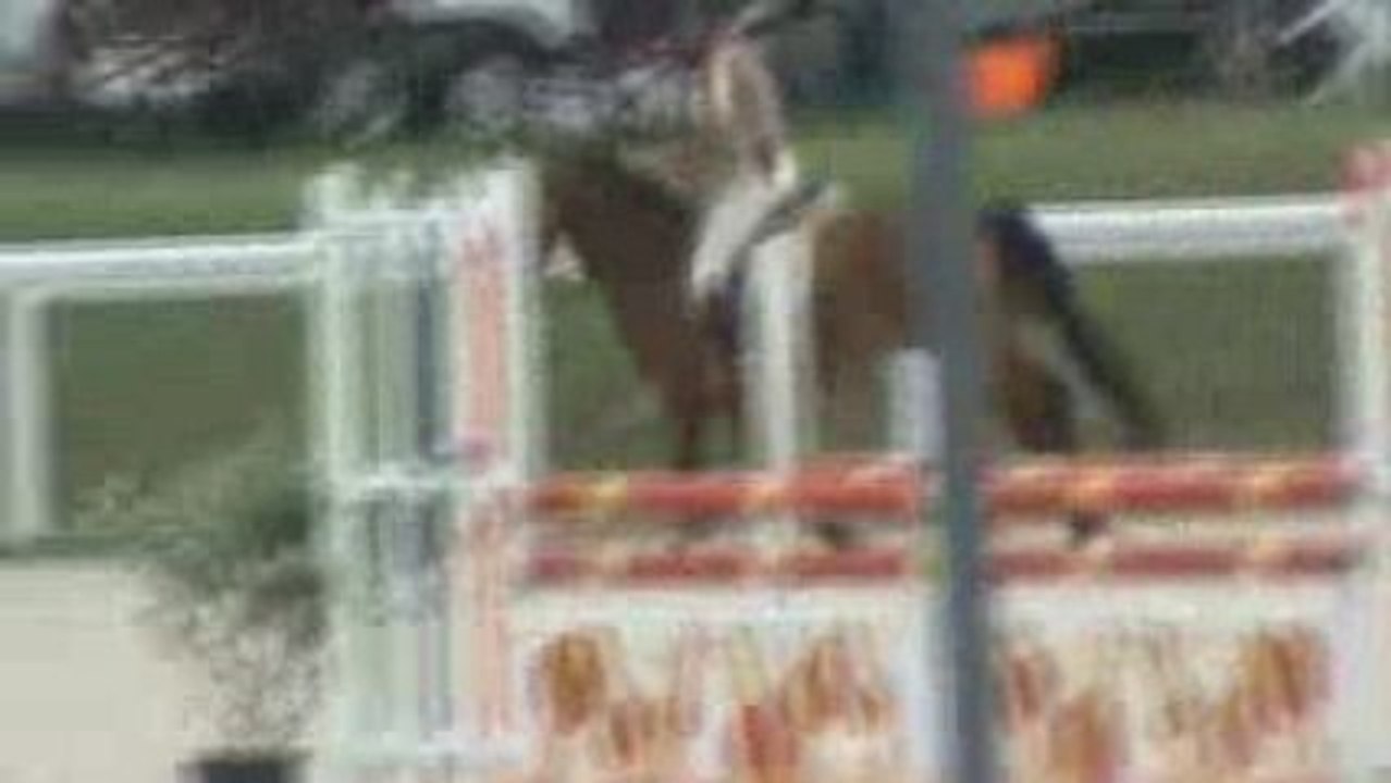 QUIPUNCH DE L'ORMEAU 5 ANS B MALVILLE