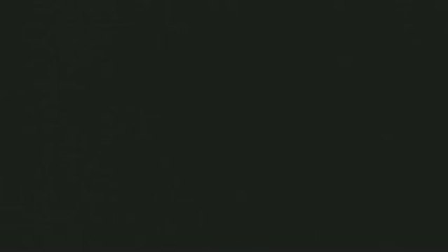 Feux d'artifices du 14 Juillet 2009