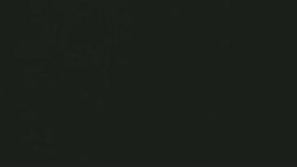 Spectacle du 14 juillet de Cruas.....