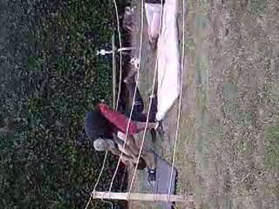 wwr jugment last part 5