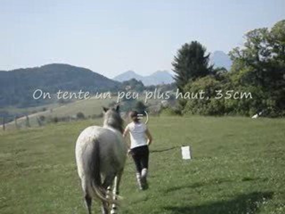 Scéance saut avec ponette