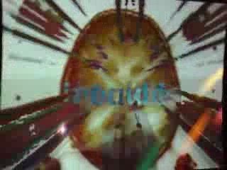 TN - Visu Oeil capuche