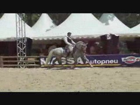 MCI Beaucaire 09 championnats PSL PRE rencontres équestres