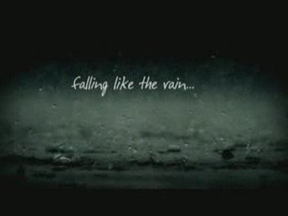 Sony SR200 TeleMacro Test | Video Poem