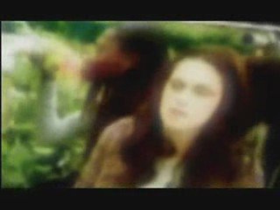 bella and edward