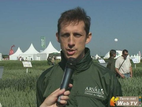 Principaux débouchés de la filière blé en France