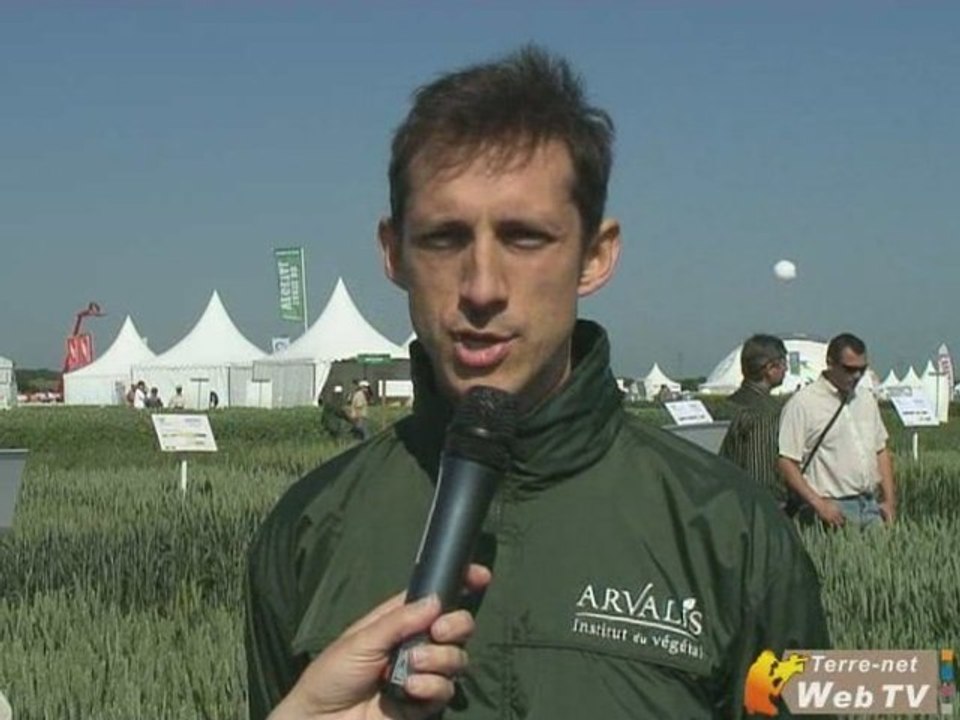 Principaux débouchés de la filière blé en France