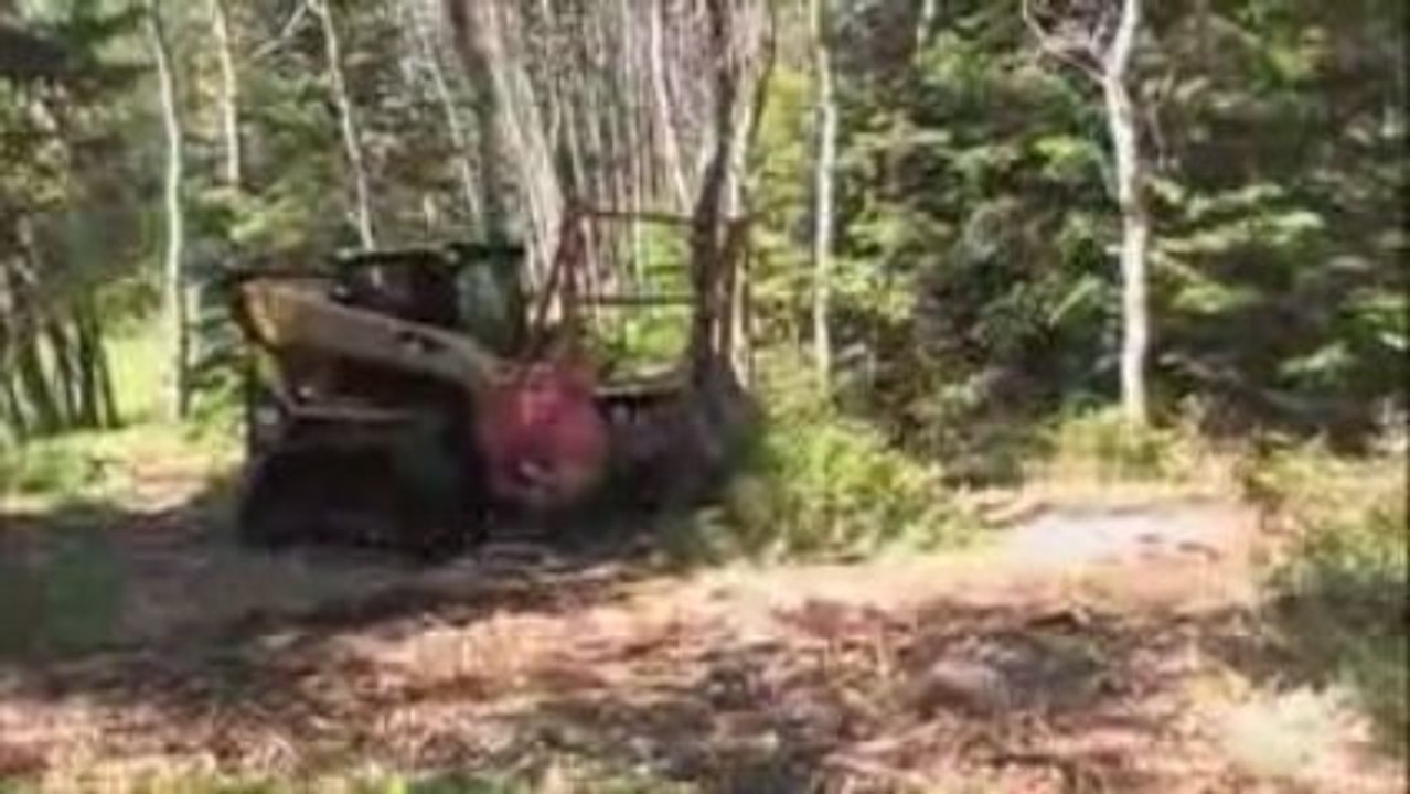 Fecon Tree Shredder