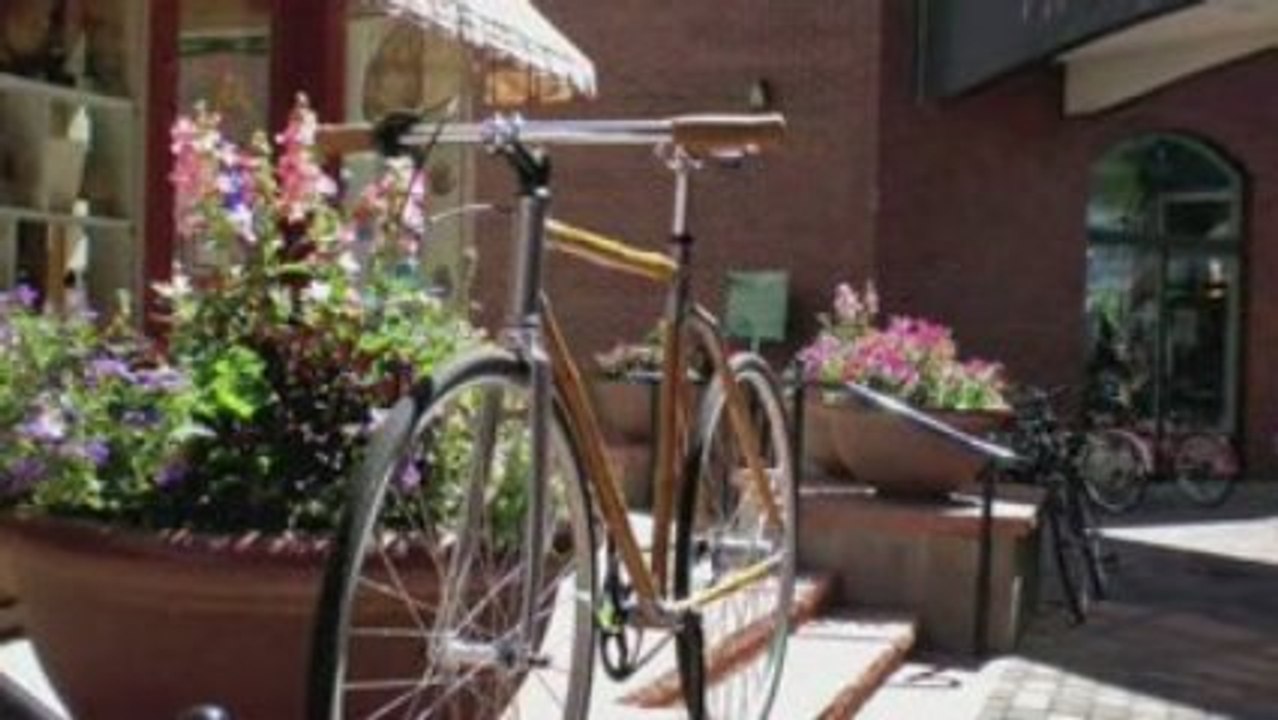 Bamboo Bike