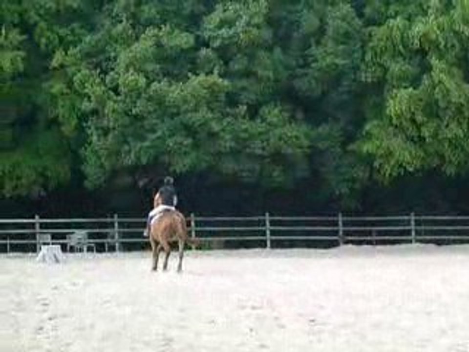 cercle trot