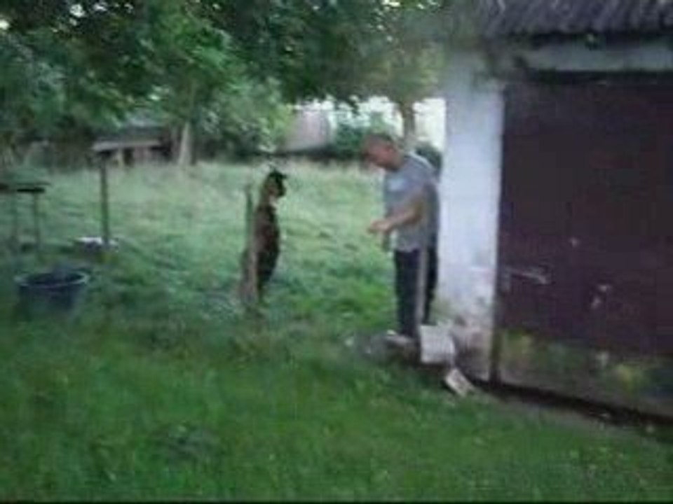 Une nouvelle histoire d'amour...