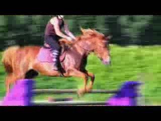 /Users/amelie/Desktop/cross pau