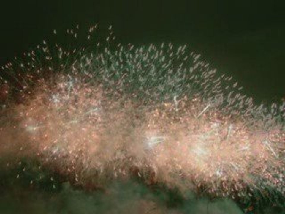 feu d'artifice carcassonne 14 juillet 2009