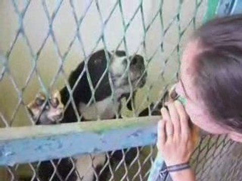 Bienvenue à la SPA de Douai