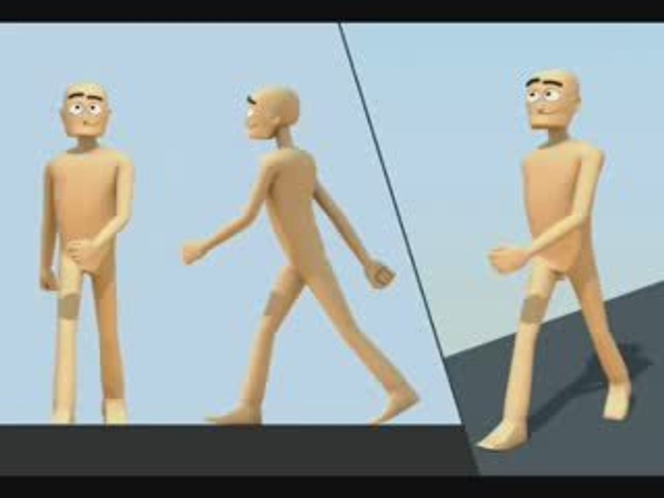 Walk cycle test
