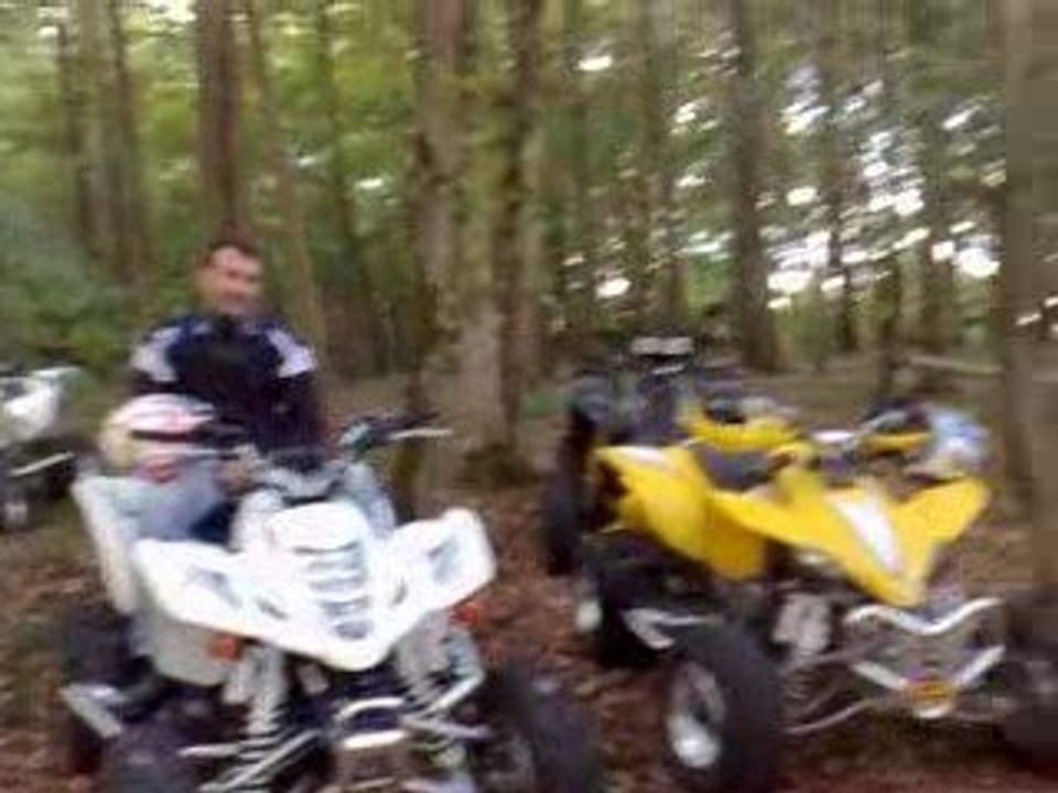 perdu dans les bois ,le guide michel est bouré