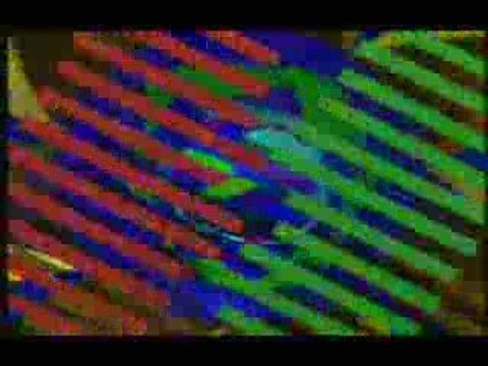 anti funky  - lets go dancing (are you ready)