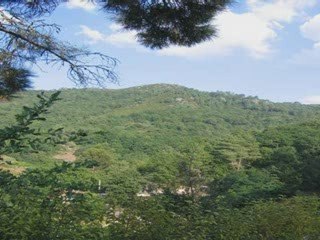 La meditación con fines terapéuticos