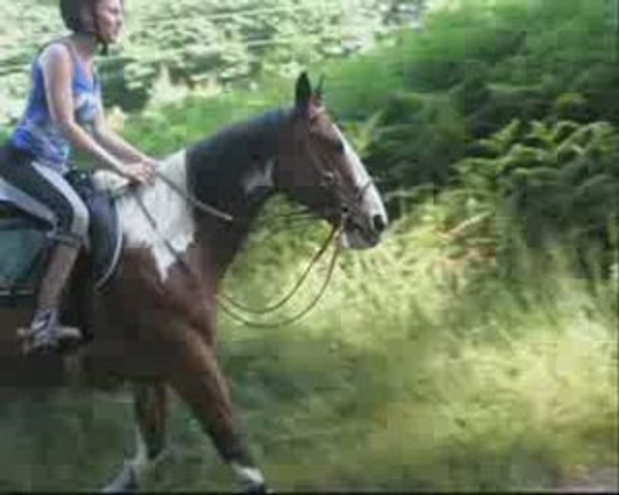 petit galop dans le pré Little Fly