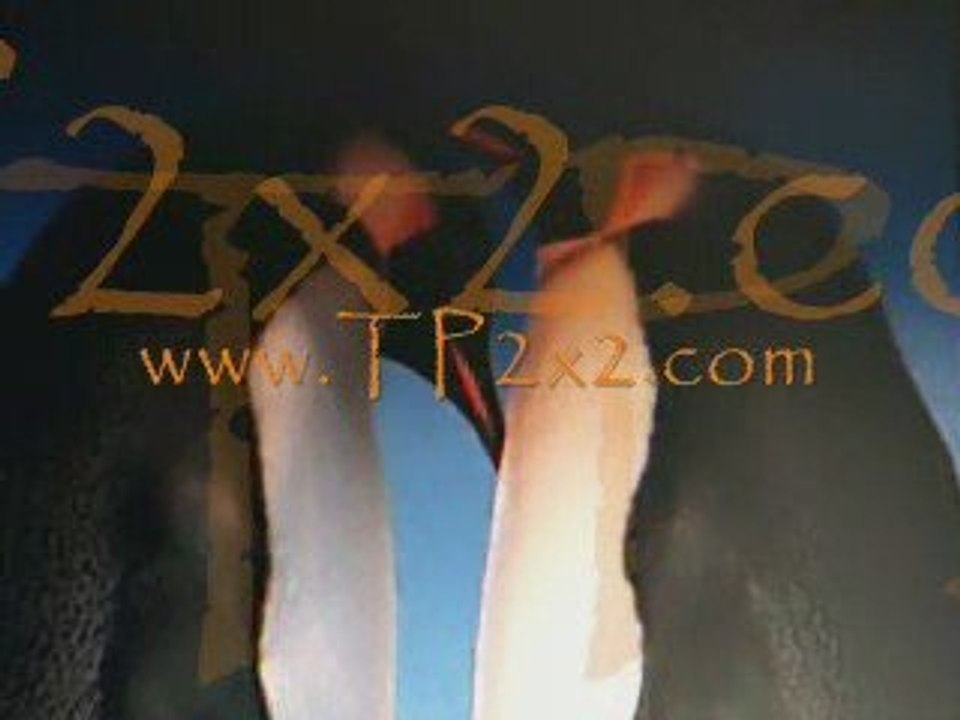 Trading Places 2x2 In Pre-Launch
